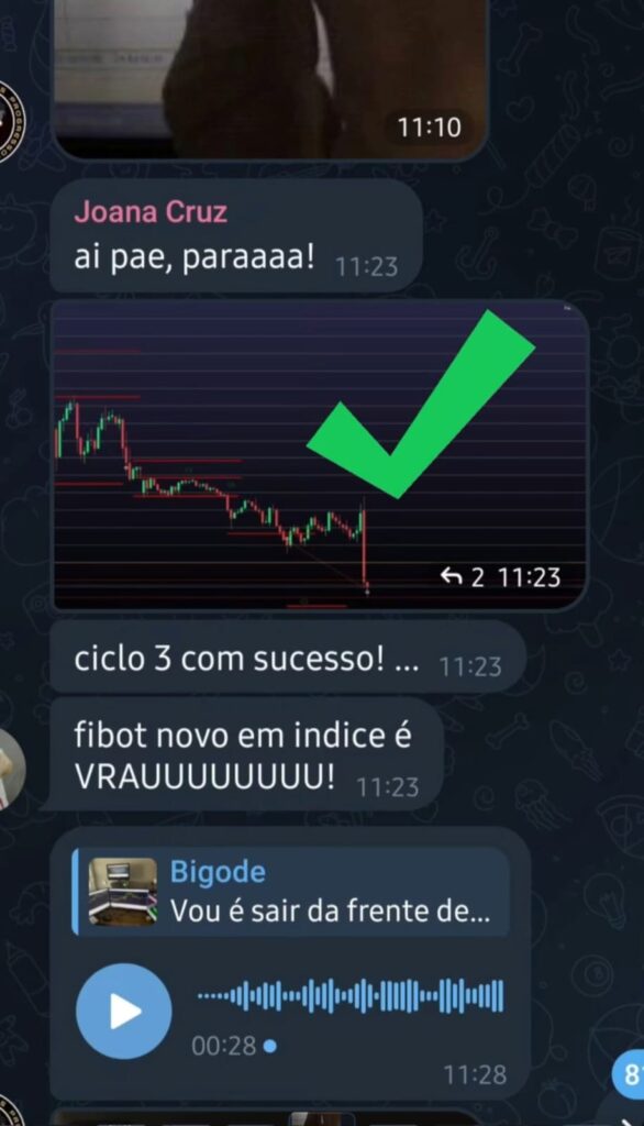 Imagem do WhatsApp de 2024-11-01 à(s) 17.11.17_991fea6b